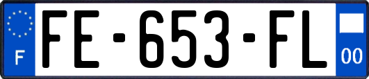 FE-653-FL