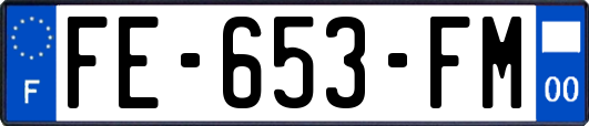 FE-653-FM