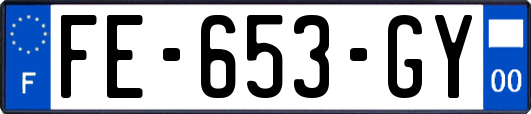 FE-653-GY