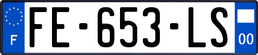 FE-653-LS