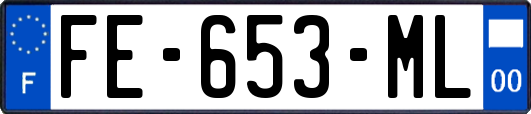FE-653-ML
