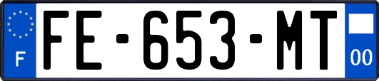 FE-653-MT
