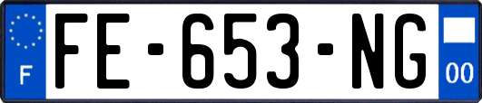 FE-653-NG