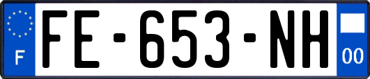 FE-653-NH