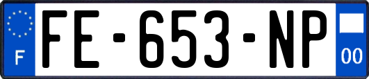 FE-653-NP