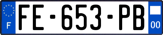 FE-653-PB