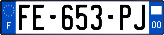 FE-653-PJ