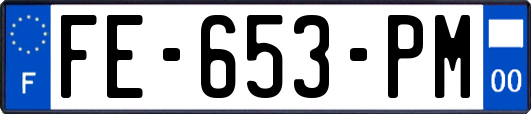 FE-653-PM
