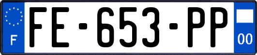 FE-653-PP