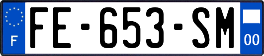 FE-653-SM