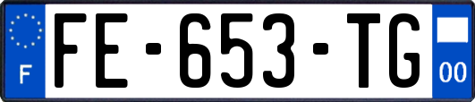 FE-653-TG
