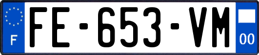 FE-653-VM