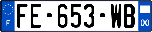 FE-653-WB