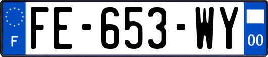 FE-653-WY