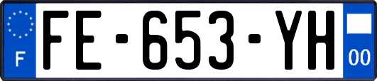 FE-653-YH