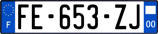 FE-653-ZJ