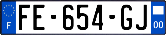 FE-654-GJ