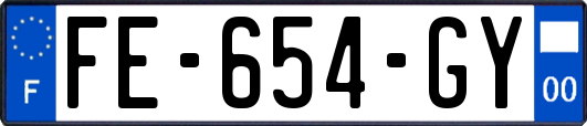 FE-654-GY