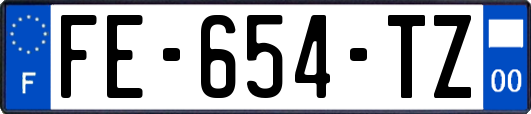 FE-654-TZ
