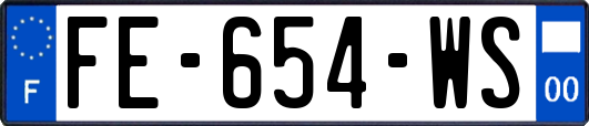 FE-654-WS