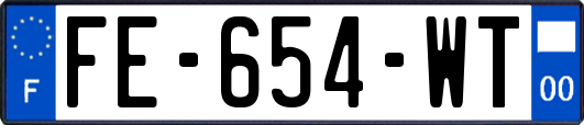 FE-654-WT