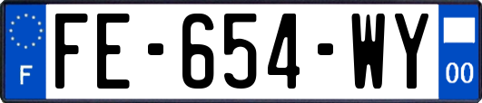 FE-654-WY