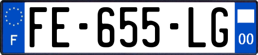 FE-655-LG