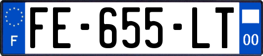 FE-655-LT