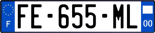 FE-655-ML