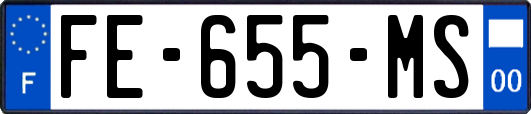 FE-655-MS