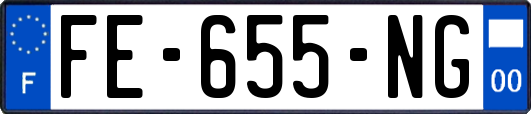 FE-655-NG