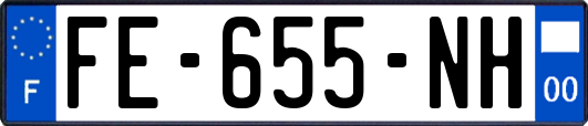 FE-655-NH