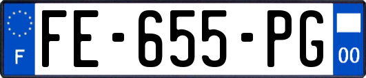 FE-655-PG