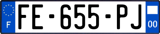 FE-655-PJ