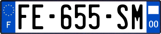 FE-655-SM