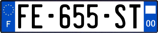 FE-655-ST
