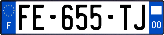 FE-655-TJ