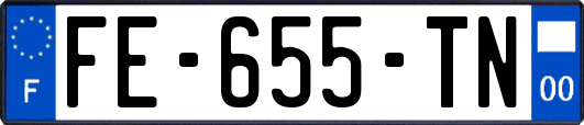 FE-655-TN