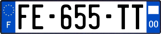 FE-655-TT