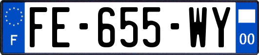 FE-655-WY
