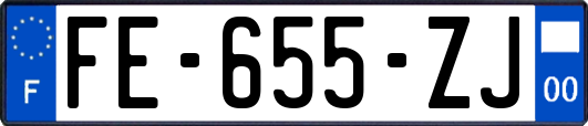 FE-655-ZJ