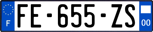 FE-655-ZS