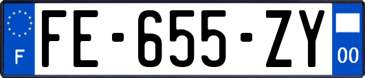 FE-655-ZY