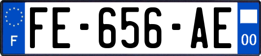 FE-656-AE