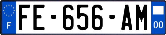 FE-656-AM