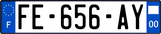 FE-656-AY