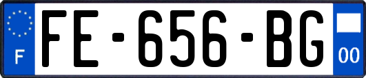 FE-656-BG