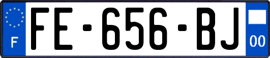 FE-656-BJ