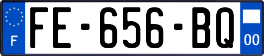 FE-656-BQ