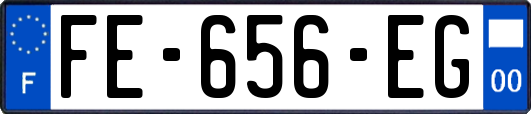 FE-656-EG